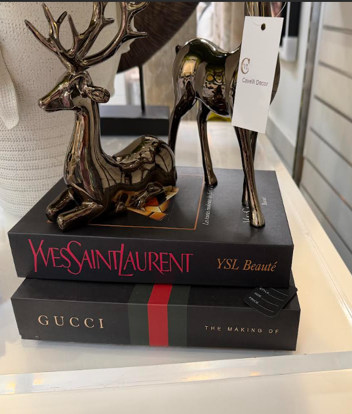 YSL Display book - Cavelh